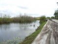 /album/everglades-2012/cimg0004-jpg/