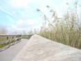 /album/everglades-2012/cimg0008-jpg/