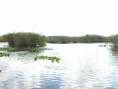 /album/everglades-2012/cimg0009-jpg/