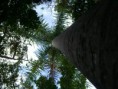 /album/everglades-2012/cimg0020-jpg/